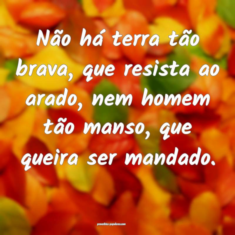 Não há terra tão brava, que resista ao arado, nem homem tão manso,...