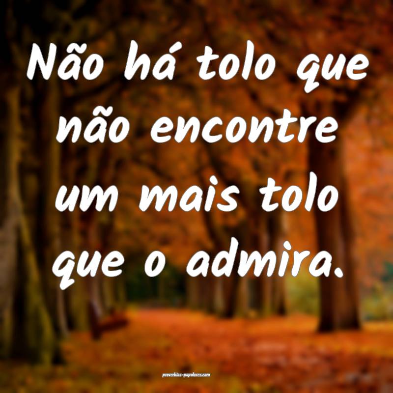 Não há tolo que não encontre um mais tolo que o admira.
...