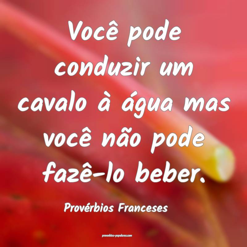 Você pode conduzir um cavalo à água mas você não pode fazê-lo be...