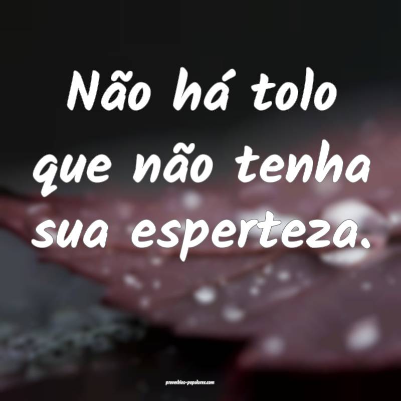 Não há tolo que não tenha sua esperteza.
...