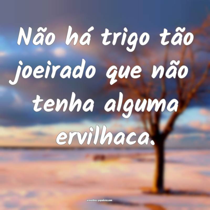 Não há trigo tão joeirado que não tenha alguma ervilhaca.
...