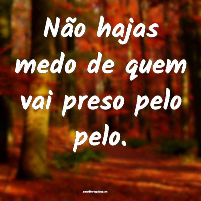 Não hajas medo de quem vai preso pelo pelo.
...