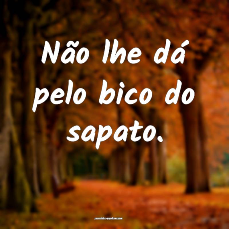 Não lhe dá pelo bico do sapato.
 ...