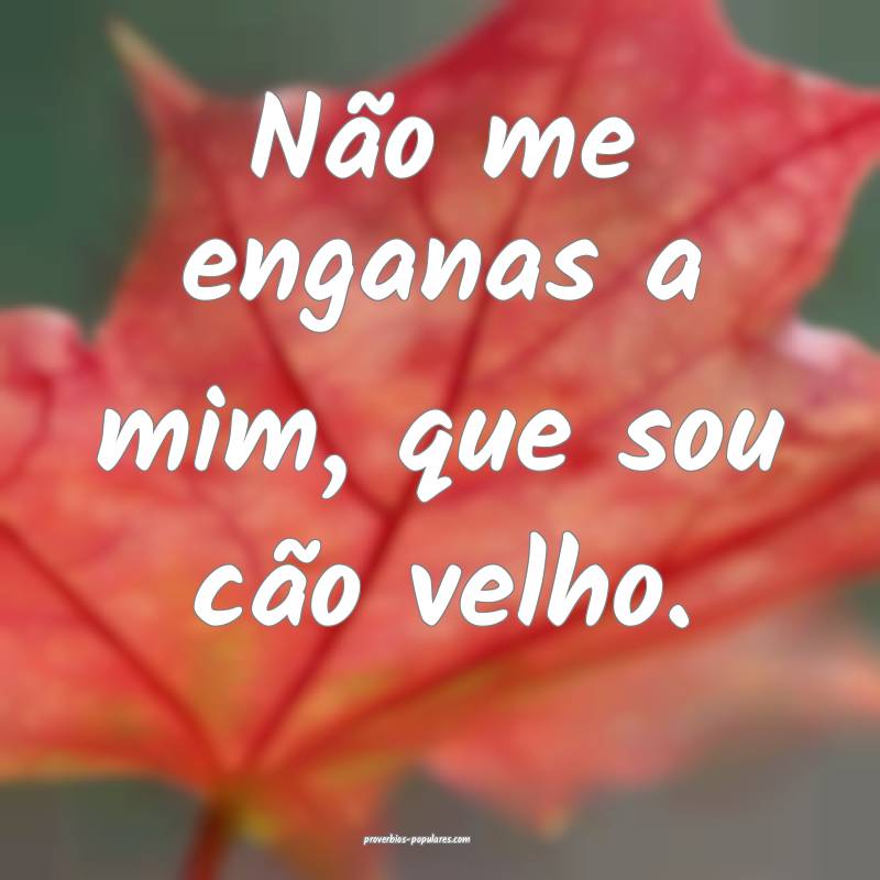 Não me enganas a mim, que sou cão velho.
 ...