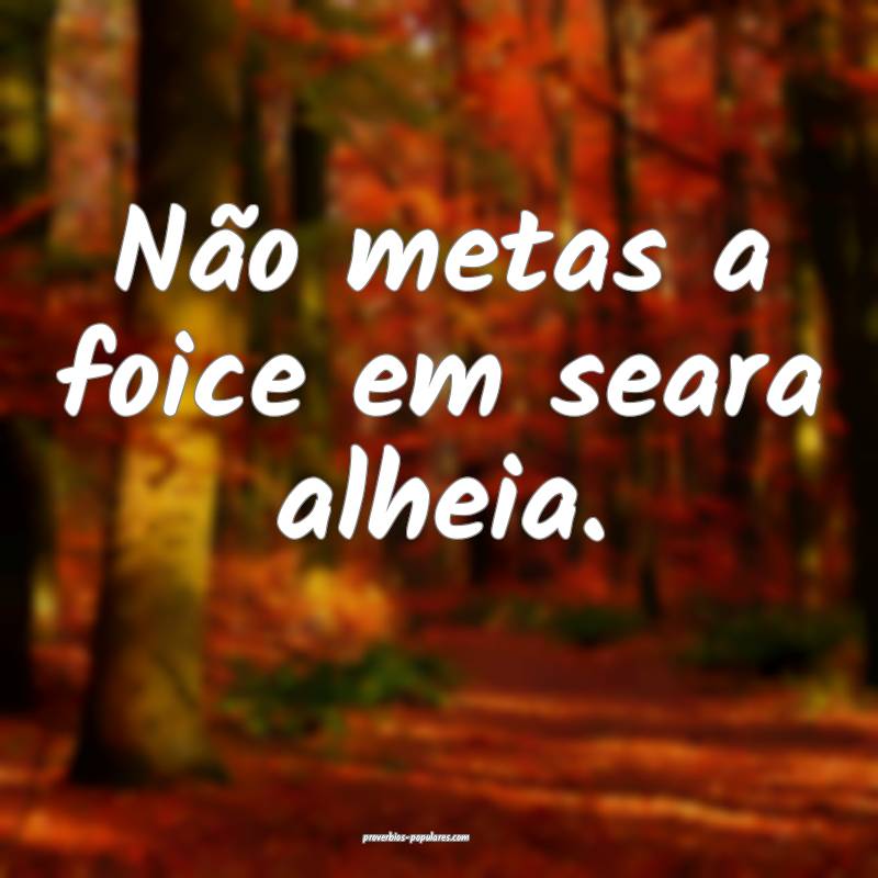 Não metas a foice em seara alheia.
...