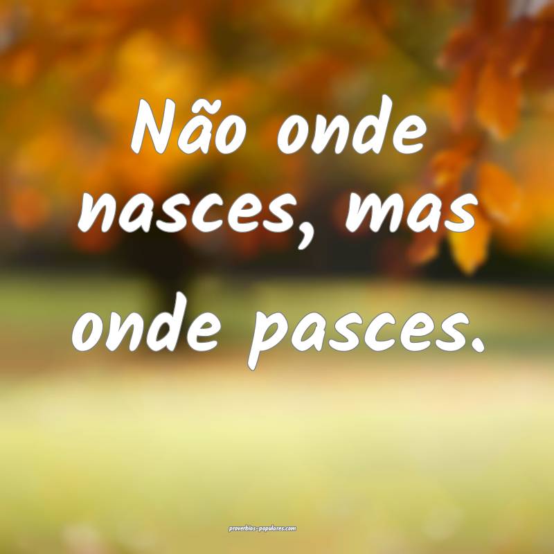 Não onde nasces, mas onde pasces.
 ...