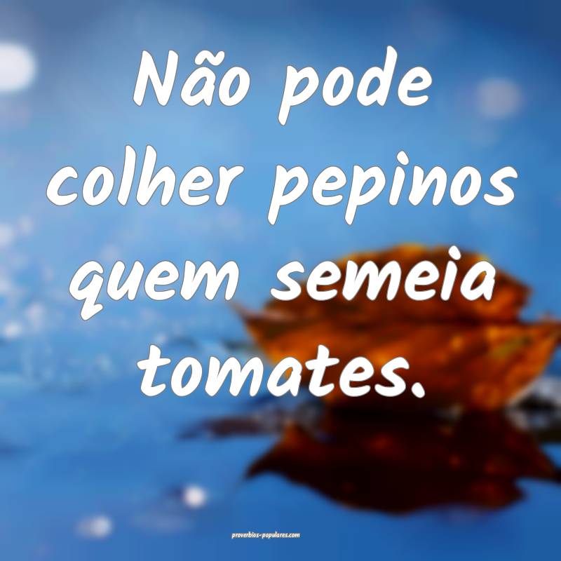 Não pode colher pepinos quem semeia tomates.
 ...