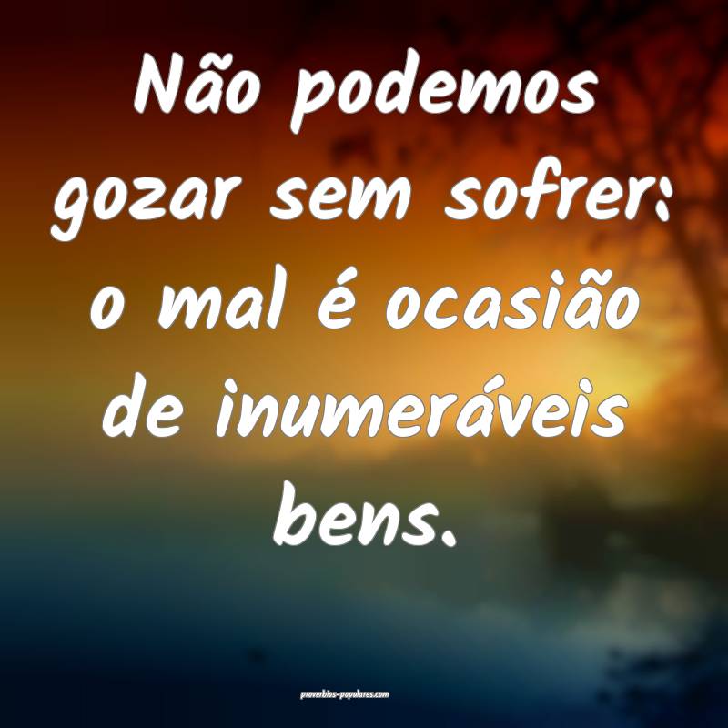Não podemos gozar sem sofrer: o mal é ocasião de inumeráveis bens....