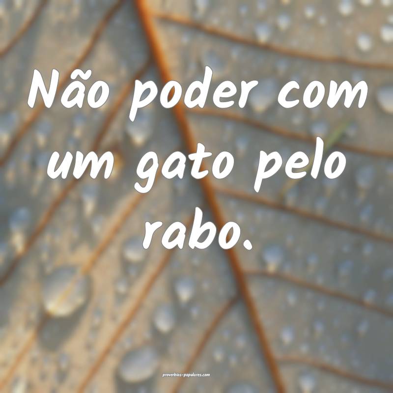 Não poder com um gato pelo rabo.
...