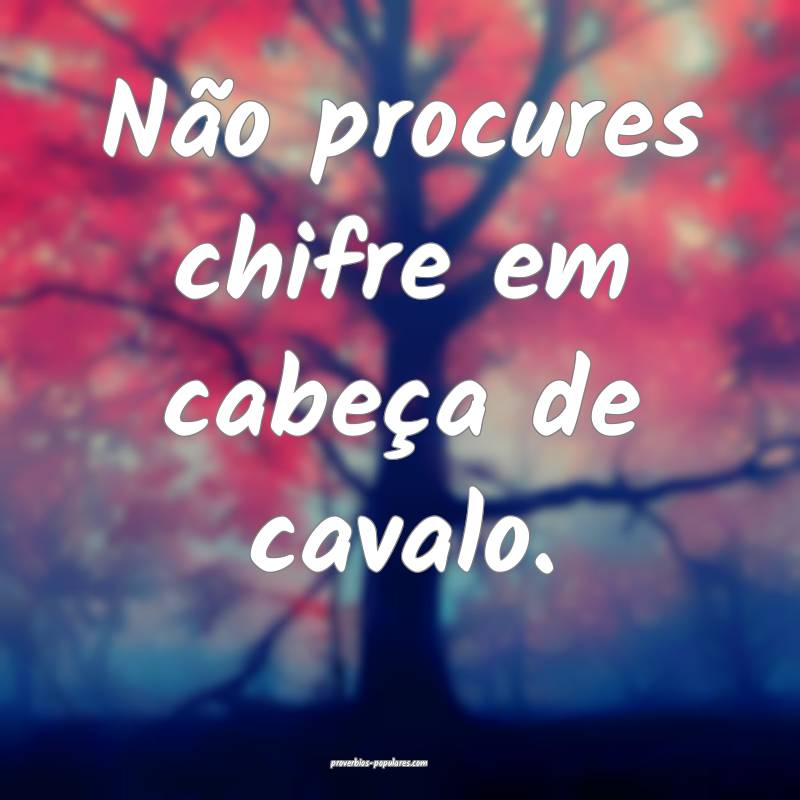 Não procures chifre em cabeça de cavalo.
...