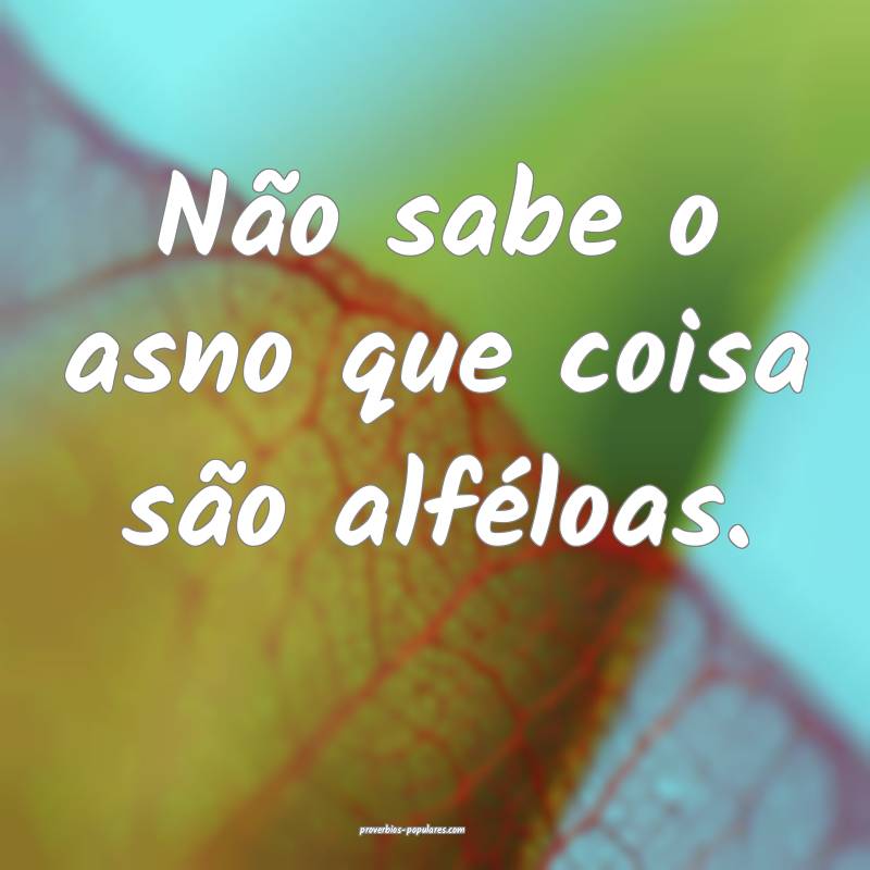 Não sabe o asno que coisa são alféloas.
...