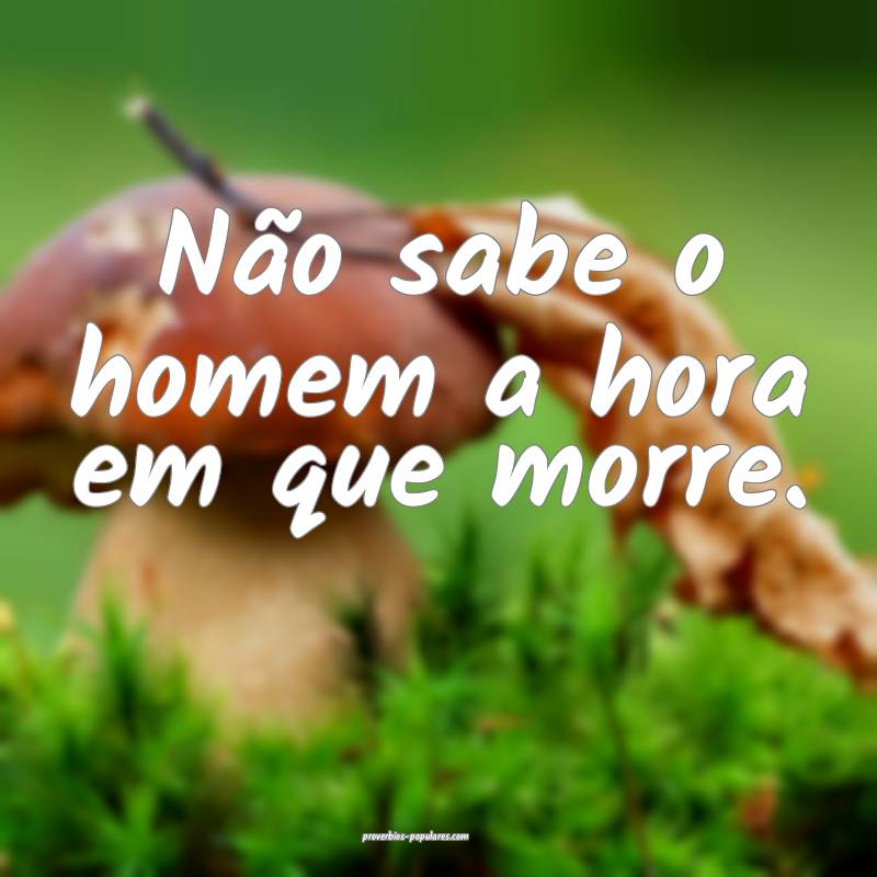 Não sabe o homem a hora em que morre.
 ...