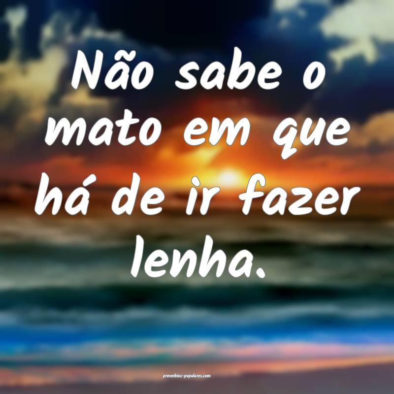 Não sabe o mato em que há de ir fazer lenha.
...