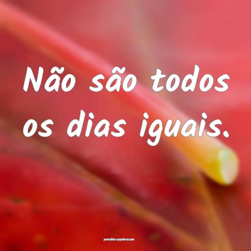 Não são todos os dias iguais.
...