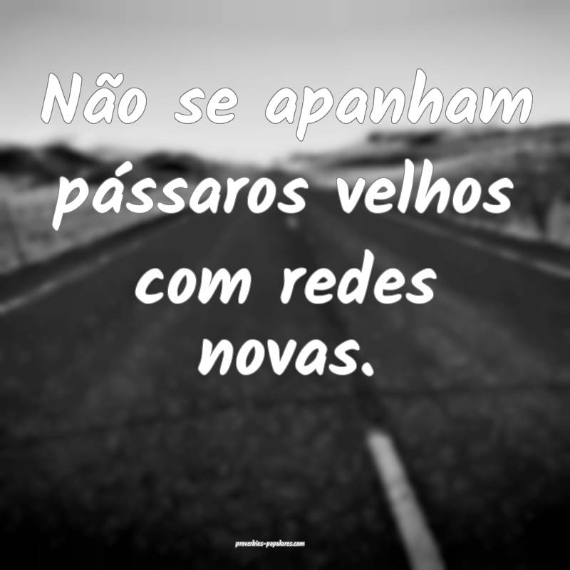 Não se apanham pássaros velhos com redes novas.
 ...