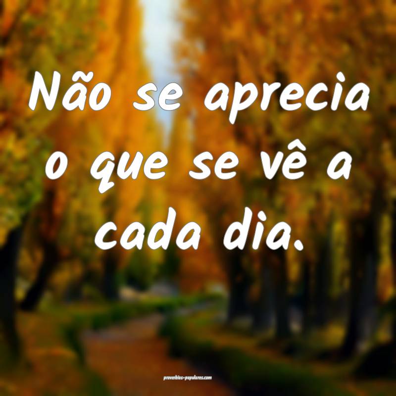 Não se aprecia o que se vê a cada dia.
 ...