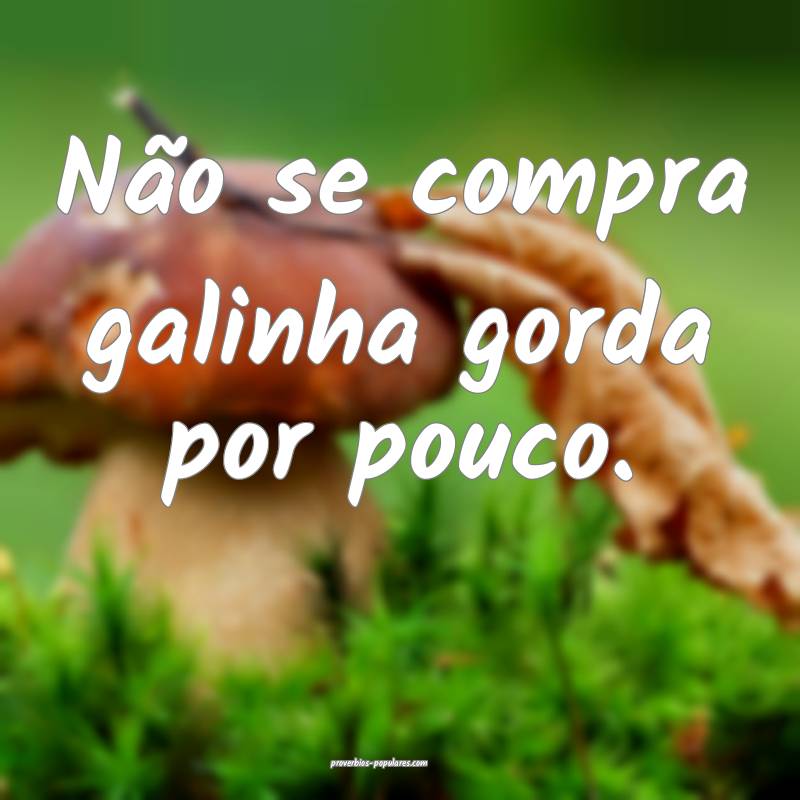 Não se compra galinha gorda por pouco.
...