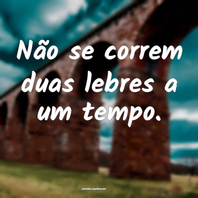 Não se correm duas lebres a um tempo.
...