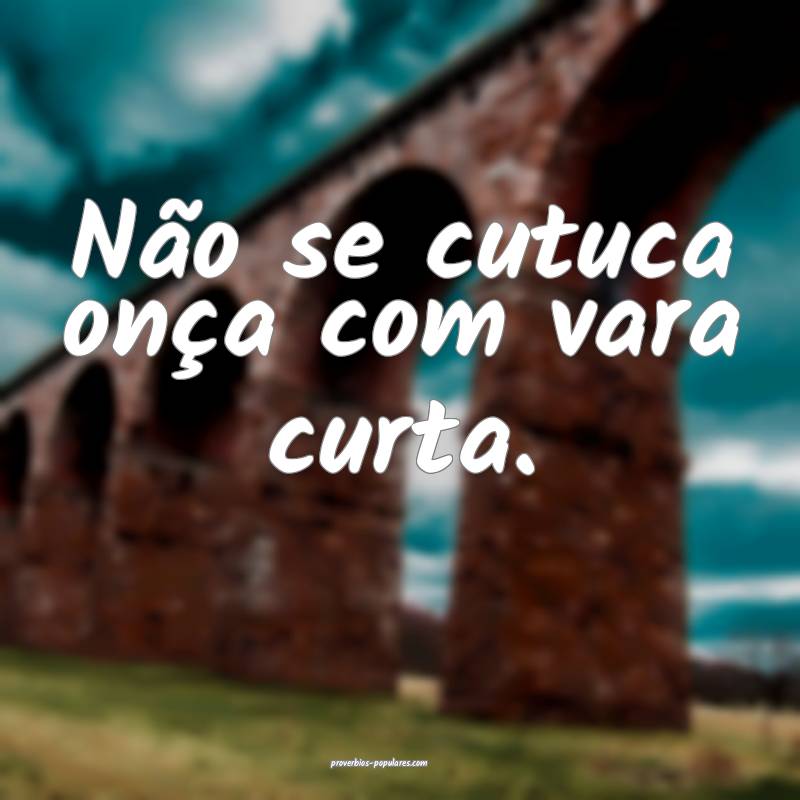 Não se cutuca onça com vara curta.
...