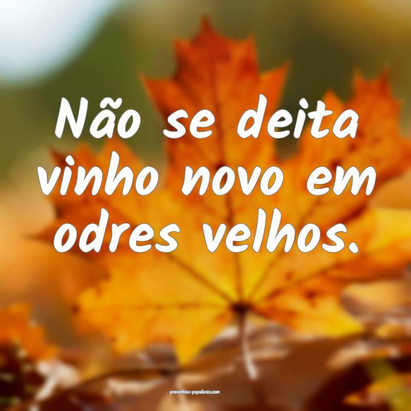 Não se deita vinho novo em odres velhos.
...