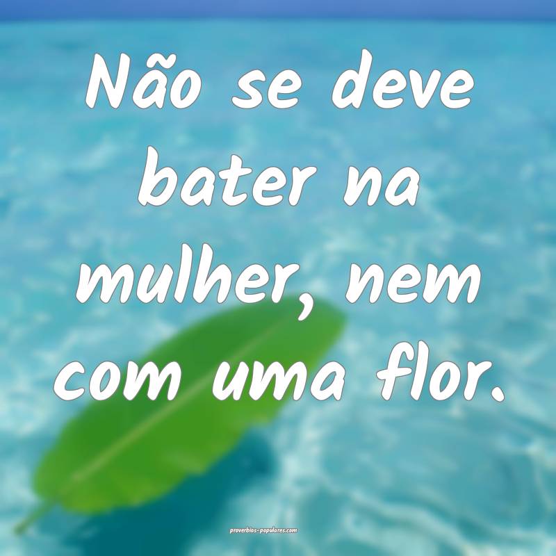 Não se deve bater na mulher, nem com uma flor.
...