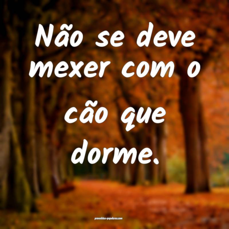 Não se deve mexer com o cão que dorme.
...