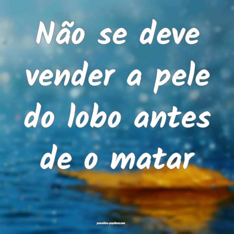 Não se deve vender a pele do lobo antes de o matar
...