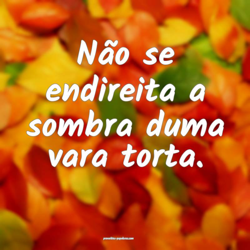 Não se endireita a sombra duma vara torta.
...