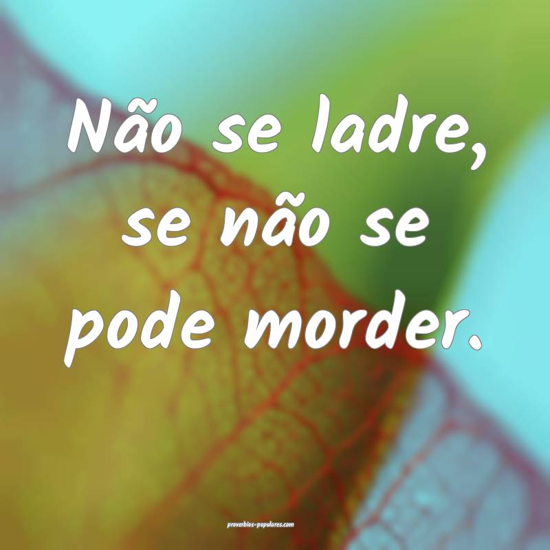 Não se ladre, se não se pode morder.
...