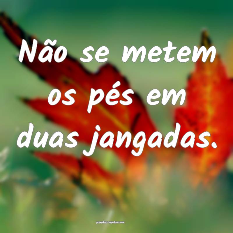 Não se metem os pés em duas jangadas.
...