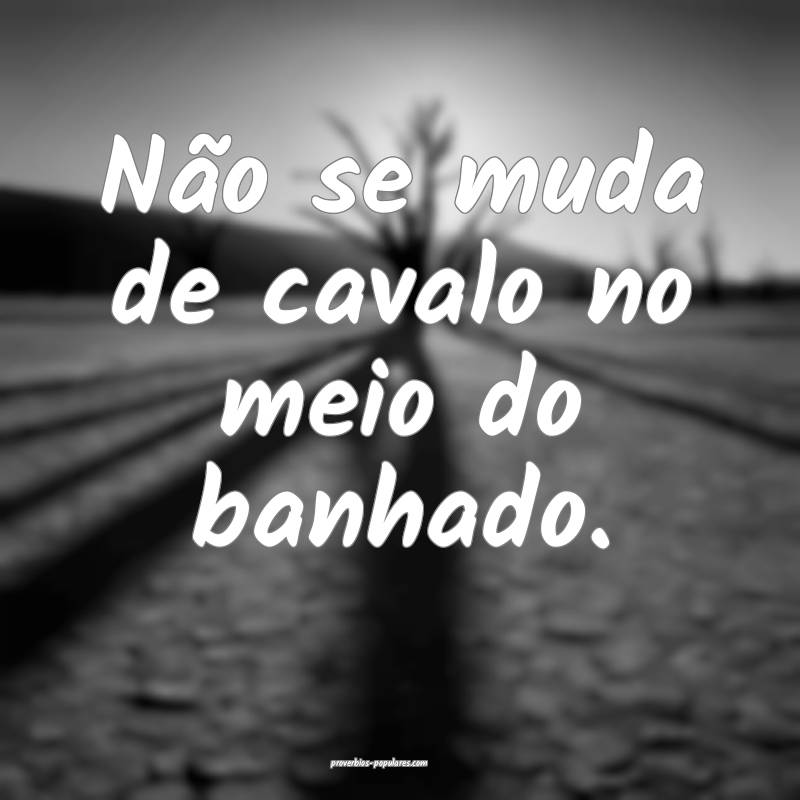 Não se muda de cavalo no meio do banhado.
 ...