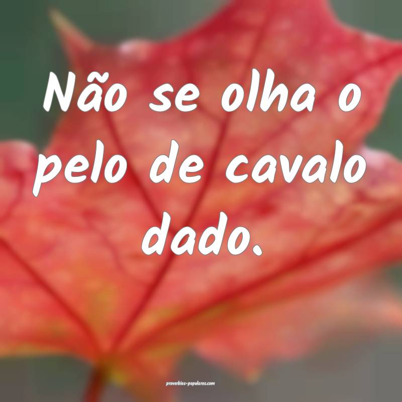 Não se olha o pelo de cavalo dado.
...