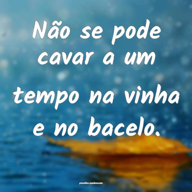 Não se pode cavar a um tempo na vinha e no bacelo ...