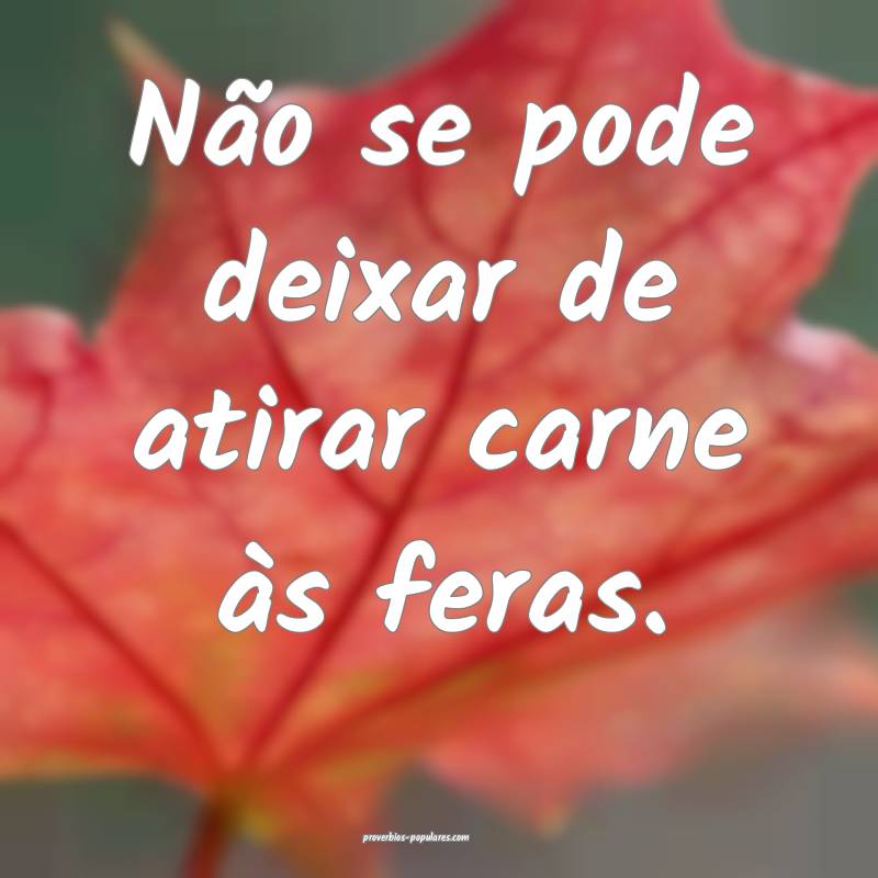 Não se pode deixar de atirar carne às feras.
...