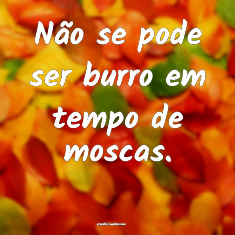 Não se pode ser burro em tempo de moscas.
...