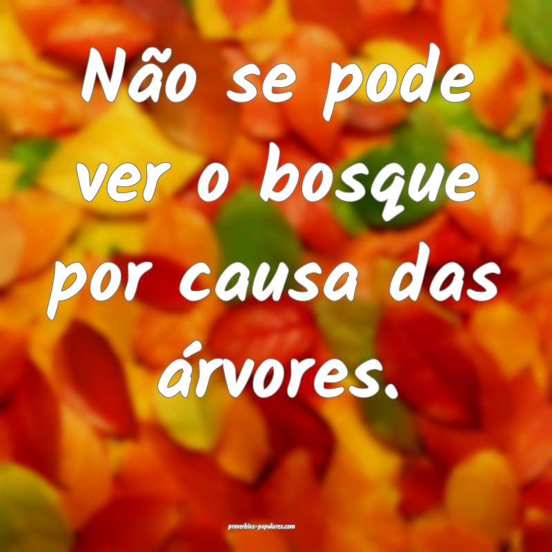 Não se pode ver o bosque por causa das árvores.
...