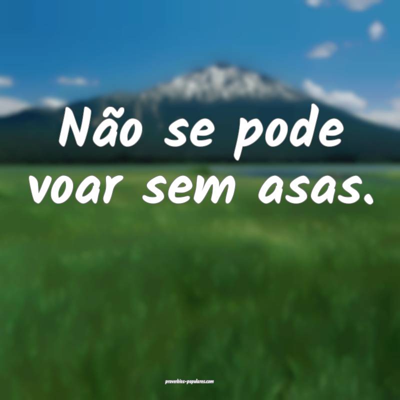 Não se pode voar sem asas.
...
