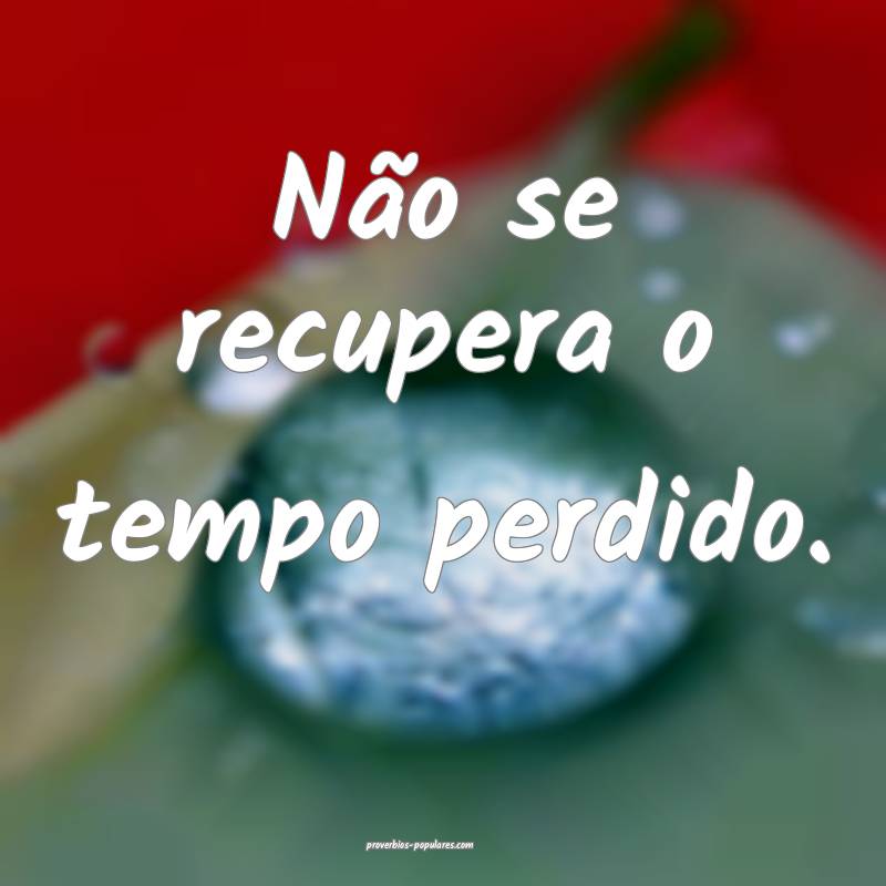 Não se recupera o tempo perdido.
...