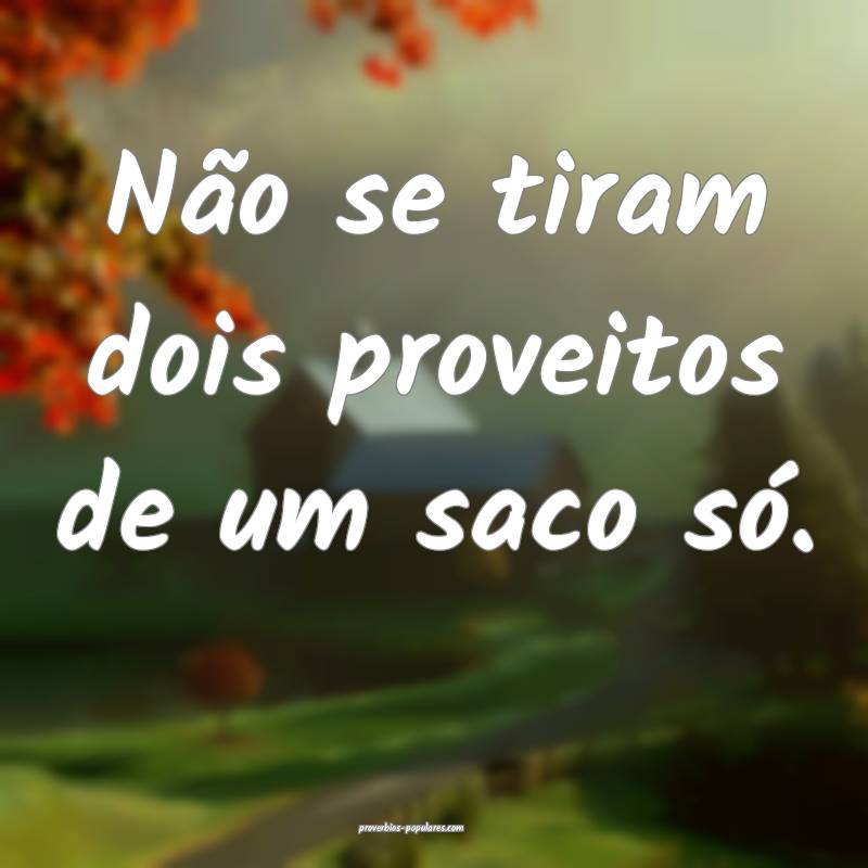 Não se tiram dois proveitos de um saco só.
...