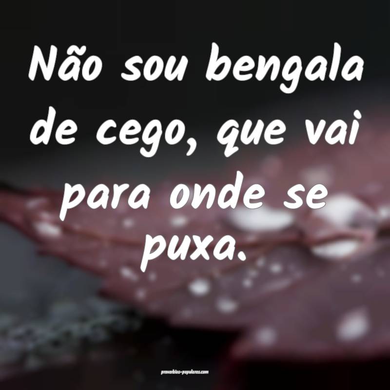 Não sou bengala de cego, que vai para onde se puxa.
...