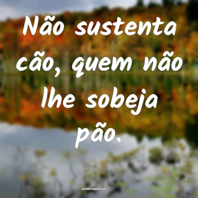 Não sustenta cão, quem não lhe sobeja pão.
...