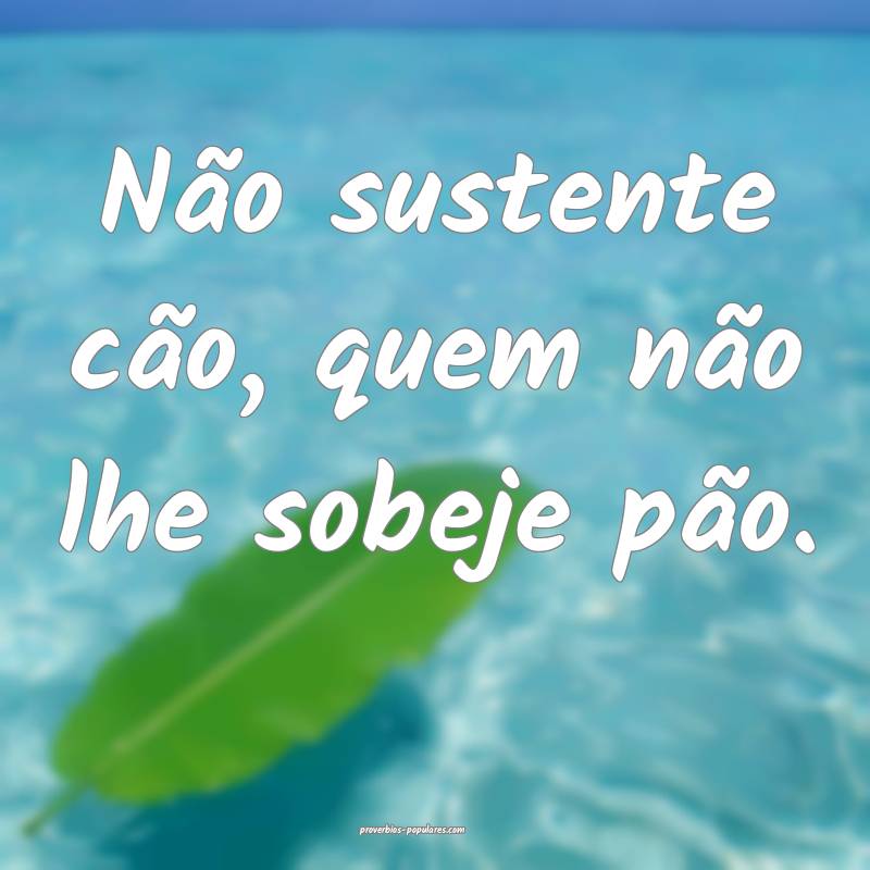 Não sustente cão, quem não lhe sobeje pão.
 ...