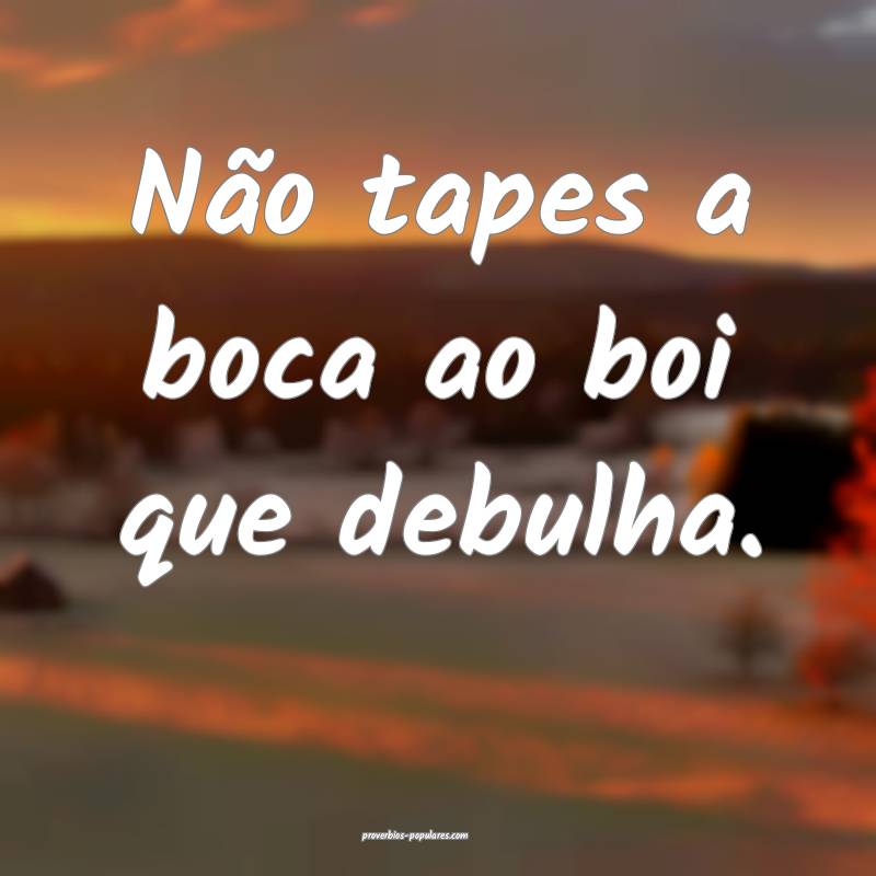 Não tapes a boca ao boi que debulha.
...