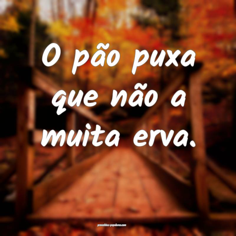 O pão puxa que não a muita erva.
...