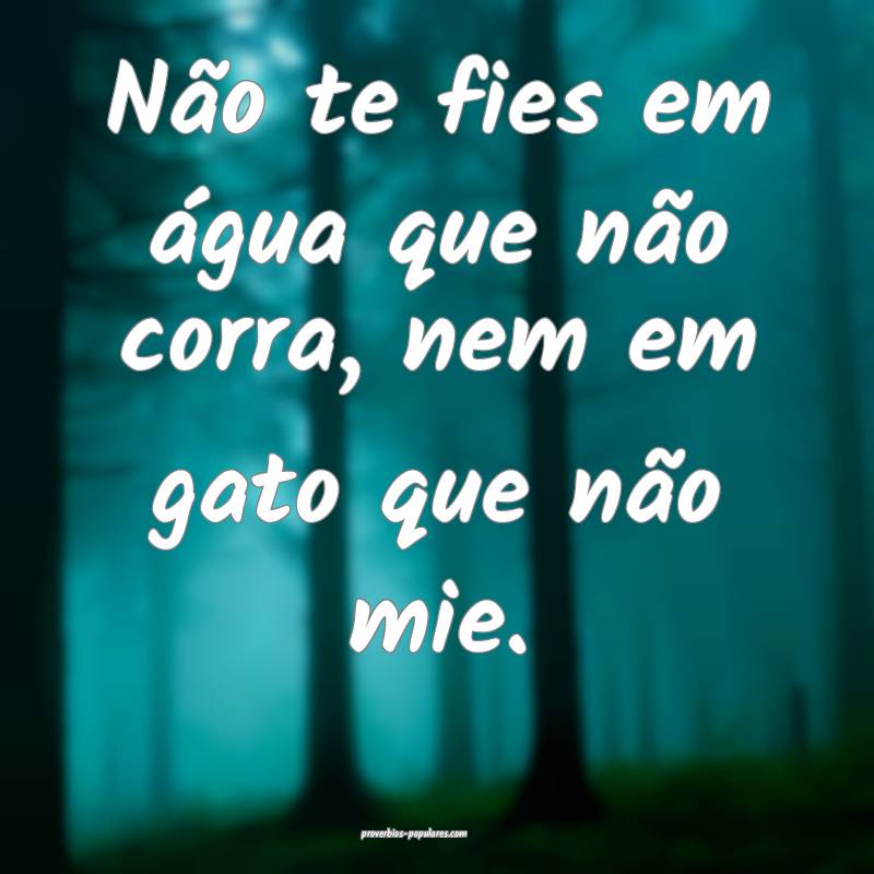 Não te fies em água que não corra, nem em gato que não mie.
...
