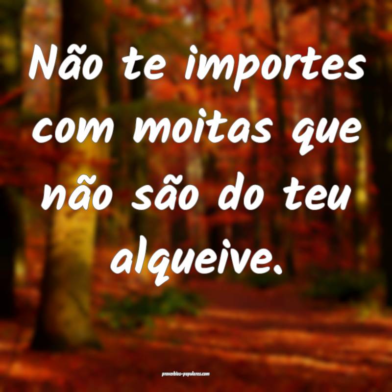 Não te importes com moitas que não são do teu a ...