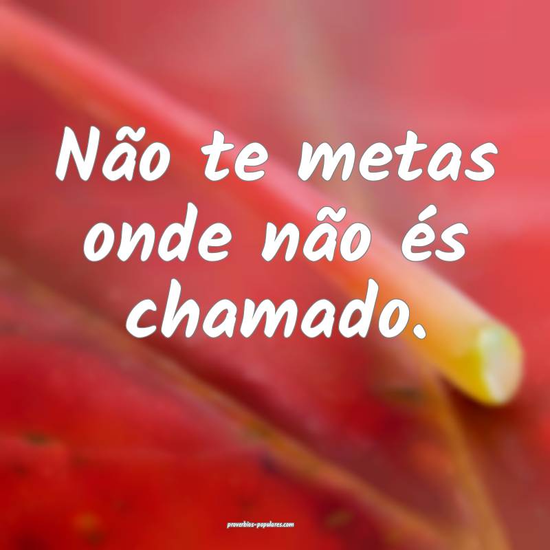 Não te metas onde não és chamado.
...