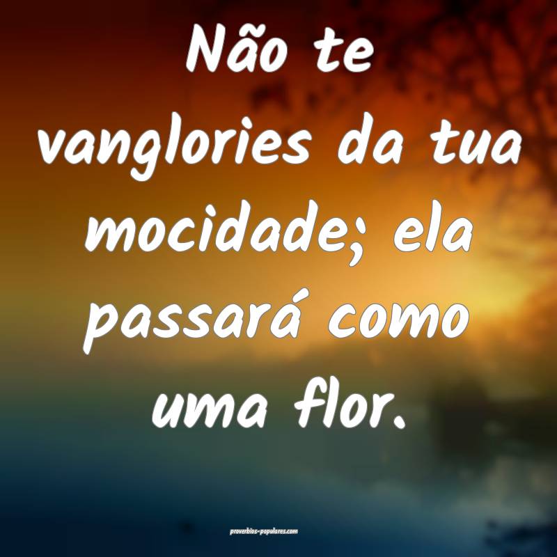 Não te vanglories da tua mocidade; ela passará como uma flor.
...