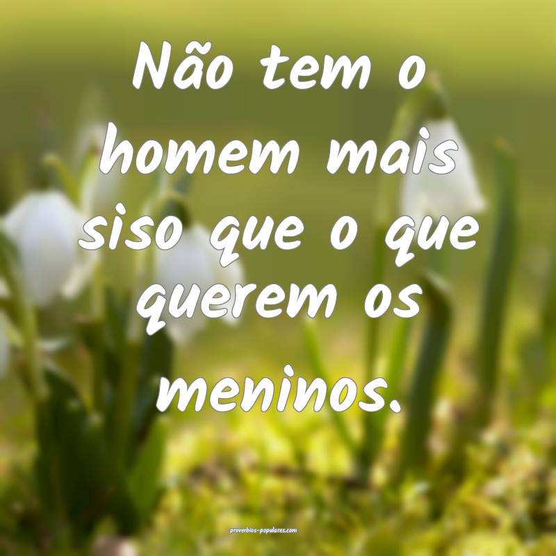 Não tem o homem mais siso que o que querem os meninos.
...