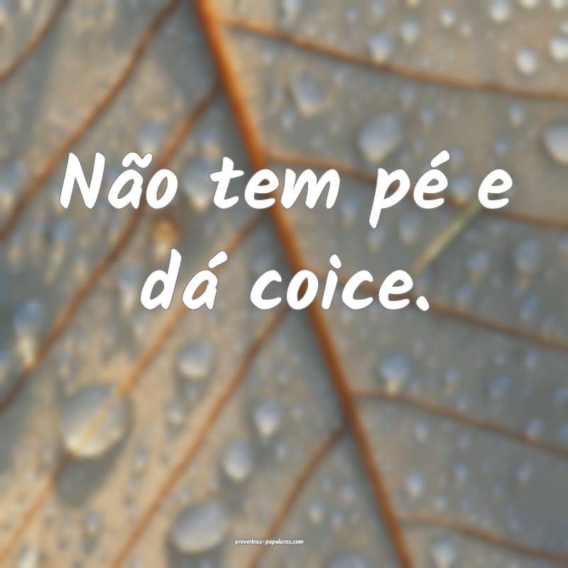 Não tem pé e dá coice.
...